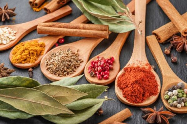 Grossiste biologique : ta source de produits purs