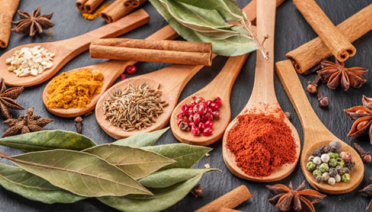Grossiste biologique : ta source de produits purs